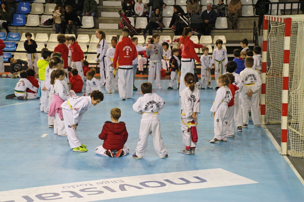 Taekwondo Dic 2016 (212).jpg